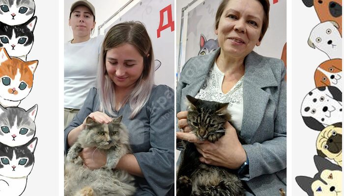 Спешим поделиться итогами выставки в Мегацентре 